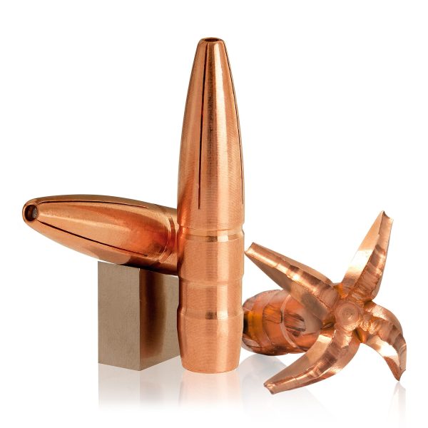 .308 caliber