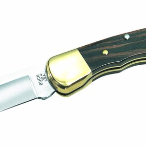 Buck Knive Folding Hunter