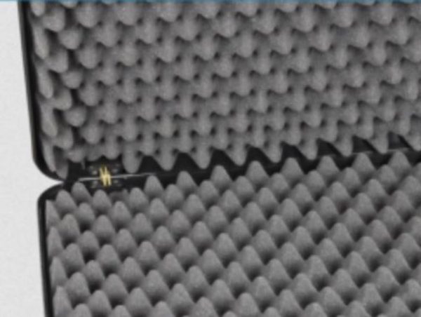 mit Eggfoam