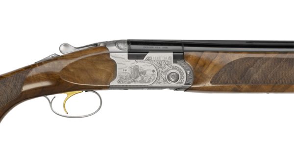 687 Silver Pigeon III - Image 2