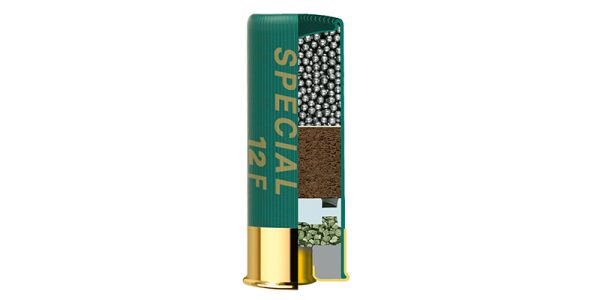 Special 12 F - Image 3