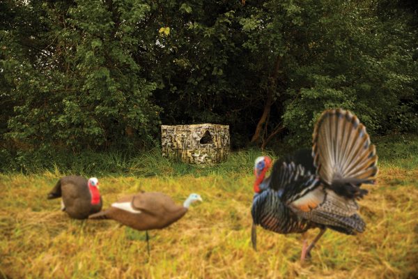 Primos Double Bull Stakeout Blind - Image 3