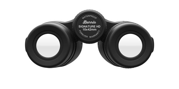 Signature HD - Image 8