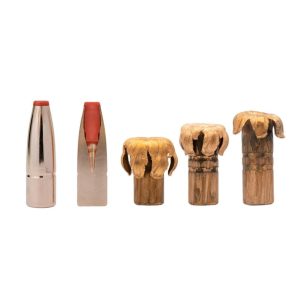 MUNITION HORNADY INTERNATIONAL 308 WIN 125 GR ECX (20) | Waffen Glauser AG