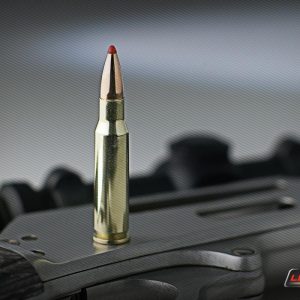 MUNITION HORNADY LEVEREVOLUTION 30-30 WIN 140 GR MONOFLEX (CIP APPROVED) (20) | Waffen Glauser AG