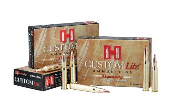 MUNITION HORNADY CUSTOM LITE 30-06 SPRG 125 GR SST (20) | Waffen Glauser AG