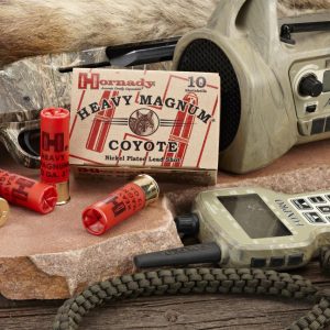 MUNITION HORNADY HEAVY MAGNUM COYOTE SHOTSHELL 12/76 BB NICKEL 3" (10) | Waffen Glauser AG