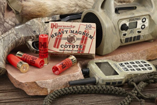 MUNITION HORNADY HEAVY MAGNUM COYOTE SHOTSHELL 12/76 BB NICKEL 3" (10) | Waffen Glauser AG