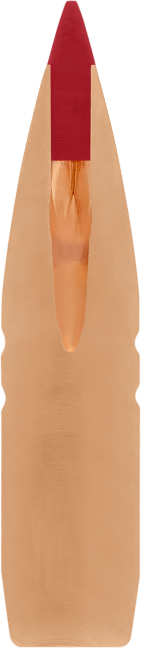 GESCHOSS HORNADY 7MM .284 160 GR CX  (1-8") (50) | Waffen Glauser AG