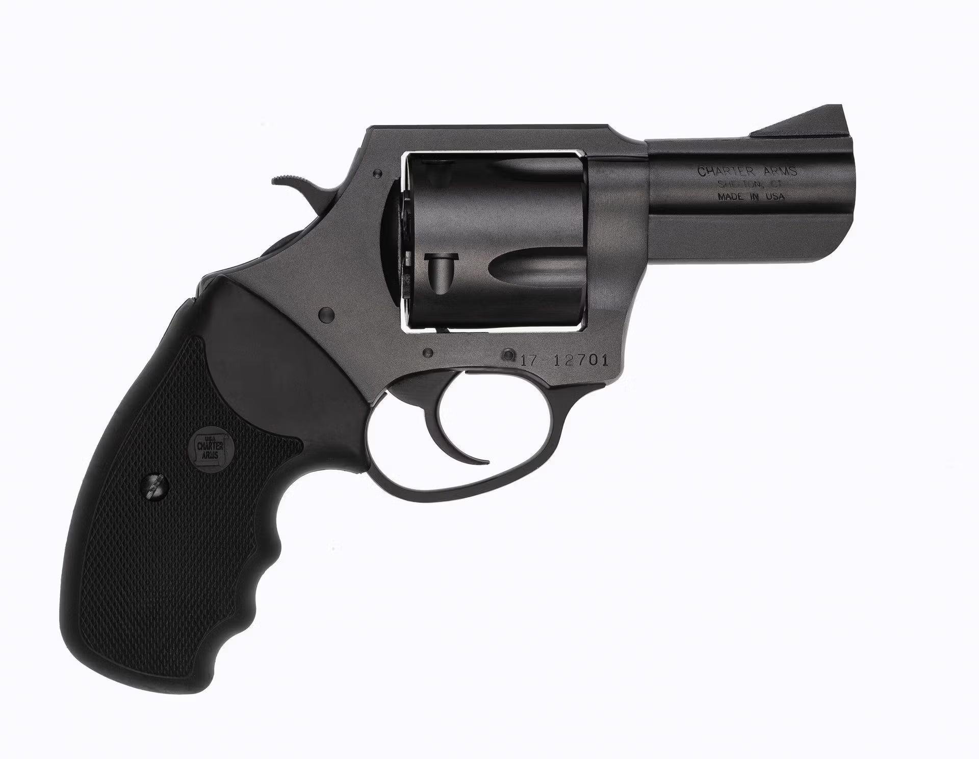 Charter Arms Rev. Pitbull Kal. .45ACP