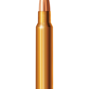 MUNITION BLASER .338 Blaser Mag. 270 gr. | 17.5 g Barnes TSX | bleifrei (20) | Waffen Glauser AG