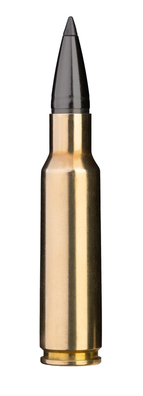 MUNITION BLASER 8.5x55 Blaser 180 gr. | 11.7 g Blaser CDX | bleifrei (20) | Waffen Glauser AG