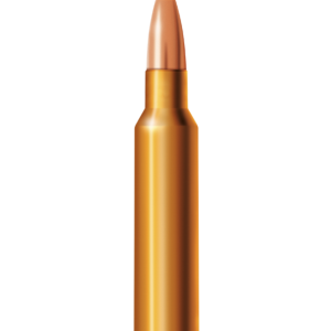 MUNITION BLASER .338 Blaser Mag. 210 gr. | 13.6 g Barnes TTSX | bleifrei (20) | Waffen Glauser AG