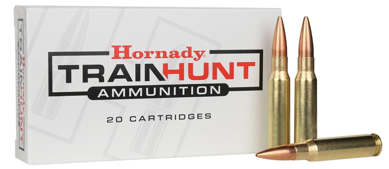 MUNITION HORNADY TRAIN & HUNT 9.3X62 286 GR OTM T/H (20) | Waffen Glauser AG
